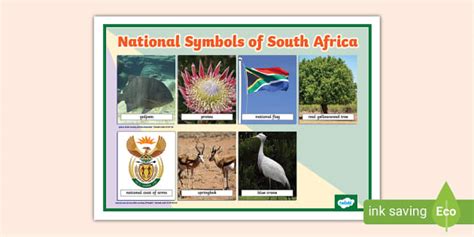 south africa capitals|south africa other national symbols.